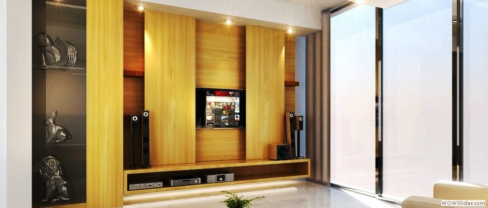 pic1